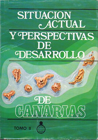 SITUACIN ACTUAL Y PERSPECTIVAS DE DESARROLLO DE CANARIAS. Vol. 2. Anlisis e interrelaciones de  los sectores productivos.
