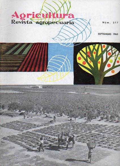AGRICULTURA. Revista Agropecuaria. N 377.