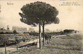 Tarjeta Postal: 106. ROMA. Via Appia Nuova e Aquedotto di Claudio.
