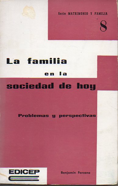 LA FAMILIA EN LA SOCIEDAD DE HOY. Problemas y perspectivas.