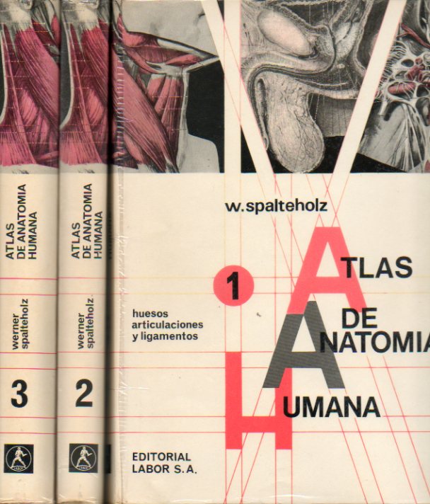 ATLAS DE ANATOMA HUMNA. Versin espaola de 14 ed. alemana. Firma anterior propietario y espordicos subrayados.