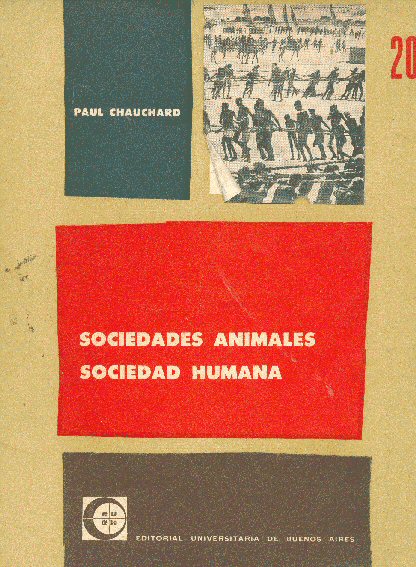 Sociedades animales sociedad humana