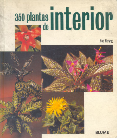 350 plantas de interior